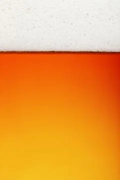 Clean beer background Stock Photos