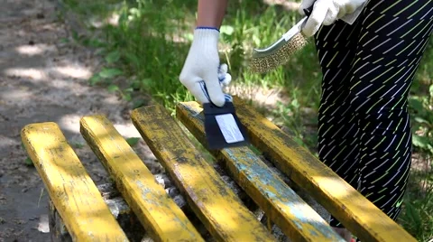 Clean bench Stock Footage 64581800