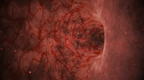 Clean Blood HD Stock Footage 90336