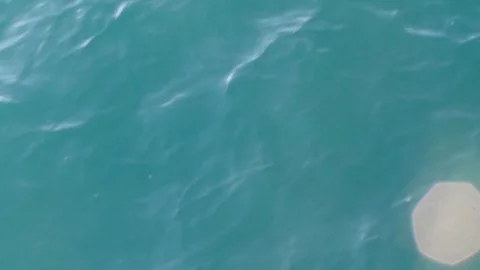 Clean Blue Ocean Water Stock Footage 99416617