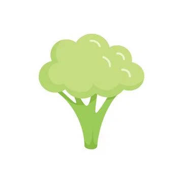 Clean brocoli icon flat vector. Cabbage vegetable Ilustración de archivo