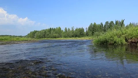 Clean calm river in the forest. Transparent bottom Video stock 75041604