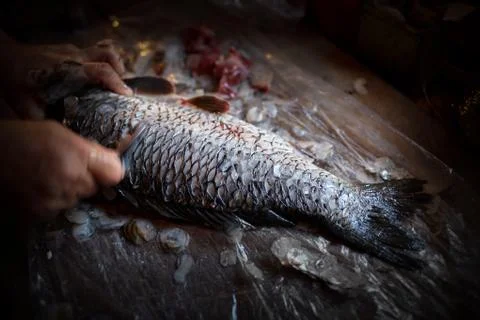 Clean Carp Scales Фото