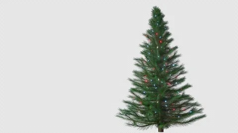 Clean Christmas Tree Stock Footage 321753966