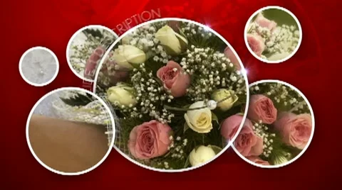 Clean Circles After Effects stock