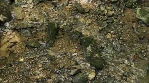 Clean Clear Spring Water Glides Over Stone Pebbles Stock-Footage 106675544