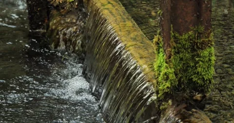 Clean, clear water flows slowly from the source and forms a small threshold. A Stock Footage 252887341