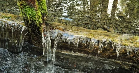 Clean, clear water flows slowly from the source and forms a small threshold. A Stock Footage 252887384