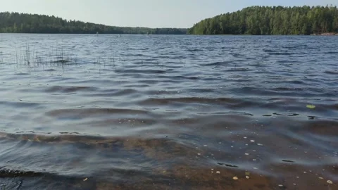 Clean clear water with waves in a forest lake. Stock Footage 162973534