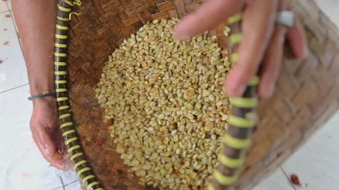 Clean the coffee beans with water Stock Footage 293167654