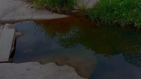 Clean community River flowing with rocks around and under the water. Stock Footage 313771616