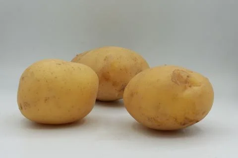 Clean composition featuring three whole yellow potatoes on a seamless Stock Photos