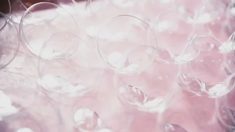 Clean cups lie on a tray Stock Footage 81544289
