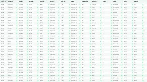 Clean Data Quality Dashboard with Validated Records Stock Illustration