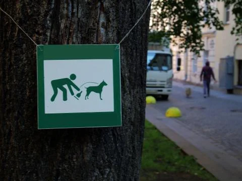 "clean up the dog" Stock Photos
