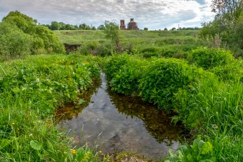 Clean, drinkable spring in the dense vegetation in the background restauriran Stock Photos
