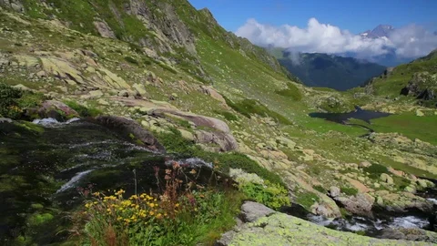 Clean drinking water from the mountain stream 스톡 동영상 89517828