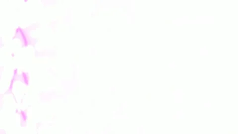 Clean empty white backdrop seamless studio background for presentation and .. Stock Footage 339331855