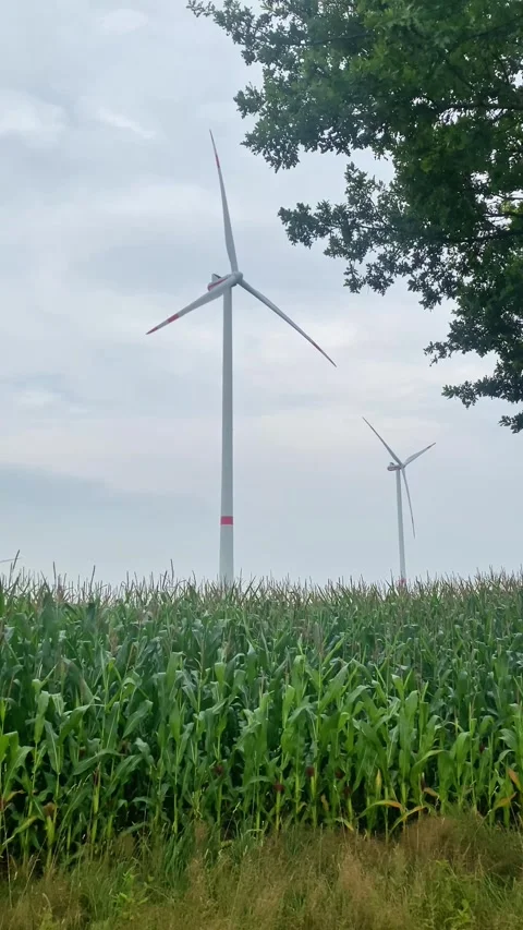 Clean Energy Generation: Wind Turbines Environmental Sustainability Rural Fields Stock Footage 280902816