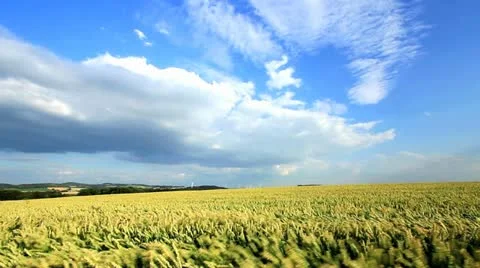 Clean Environment Stock Footage 11899787