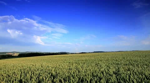 Clean Environment Video stock 11910704