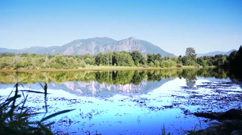 Clean environment nature. Stock Footage 43061670