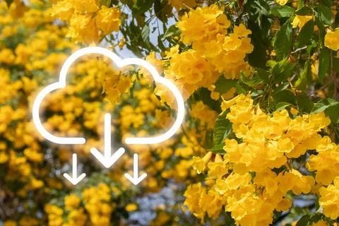 Clean environment without carbon dioxide emissions. Modern eco environmenta.. Stock Photos