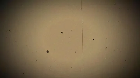 Clean film texture overlay with soft flicker dust and vignette loop 4K Stock Footage 342227048
