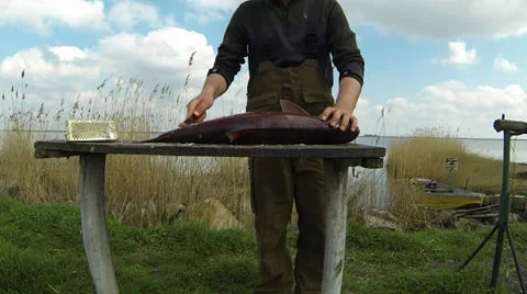 Clean the fish Stock-Footage 36785146