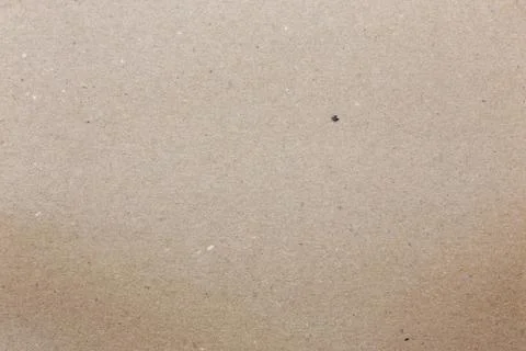 Clean flat cardboard surface texture and background made of recycled paper Stock Photos