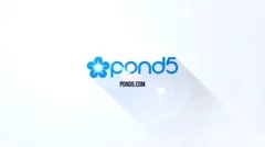 Clean Flat Logo Stock After Effects