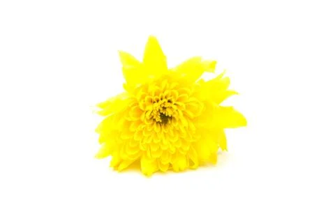 Clean flower Stock Photos