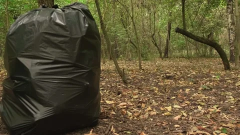 Clean forest clean Earth: a bag of collected waste serves as a reminder of the Stock Footage 303477018