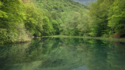 Clean forest lake. Water reflection. Horizontal panning Stock Footage 62977045