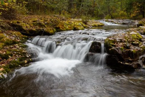 A clean forest river flows among dense forests and tall trees. Stock Photos