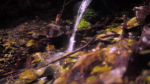 Clean forest spring. a weak calm stream falls from a low height Stock Footage 154364465