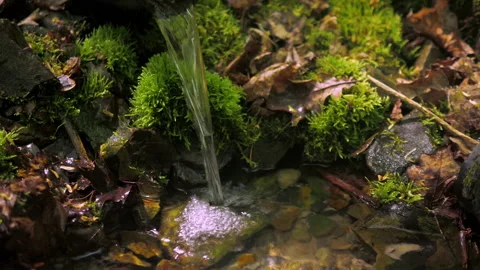 Clean forest spring. a weak calm stream falls from a low height 動画素材 154364930