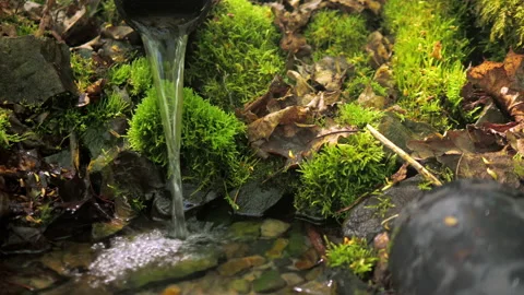 Clean forest spring. a weak calm stream falls from a low height Stock Footage 154365404