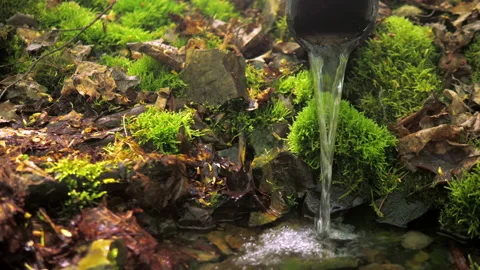 Clean forest spring. a weak calm stream falls from a low height Video stock 154365675