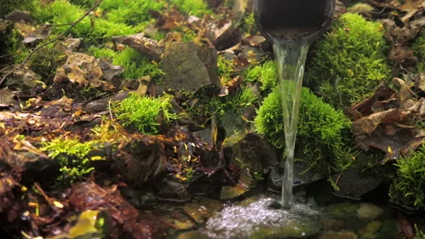 Clean forest spring. a weak calm stream falls from a low height Stock Footage 154365865