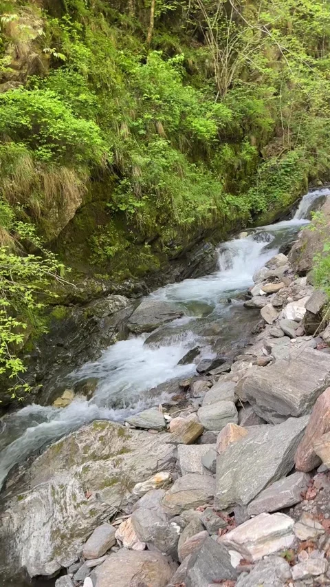 Clean forest stream early spring up in Transylvania,Romania Stock Footage 277130923