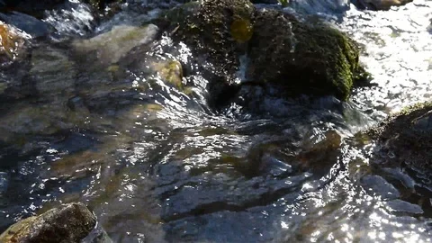 Clean forest stream 動画素材 126395914