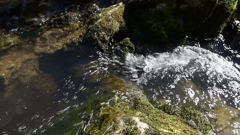 Clean forest stream 動画素材 126395922