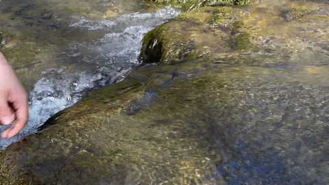 Clean forest stream 動画素材 126396067