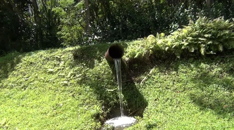 Clean forest water flowing from pipe Stock Footage 36246267
