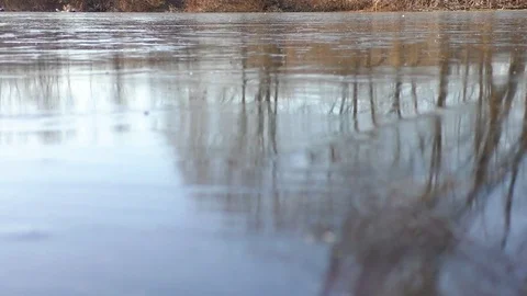 Clean fresh ice on the water Video stock 82093644