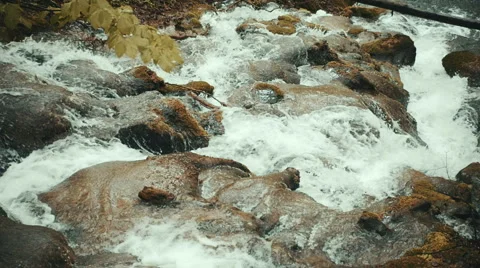 Clean fresh mountain river flowing between rocks in slow motion Stock-Footage 62377034