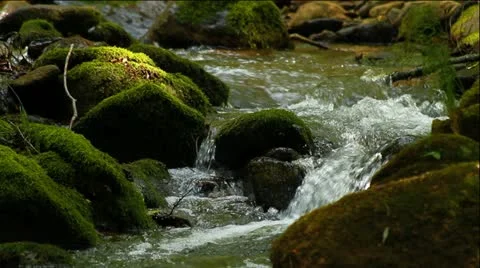 Clean fresh water of a forest stream running over mossy rocks Stock Footage