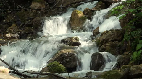 Clean fresh water of a forest stream running over rocks Stock Footage 44119312