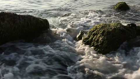Clean fresh water of the ocean running over mossy rocks Stock Footage 75438462